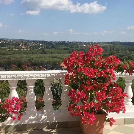 Apartment Erdgeschosssuite Mit Terrasse *